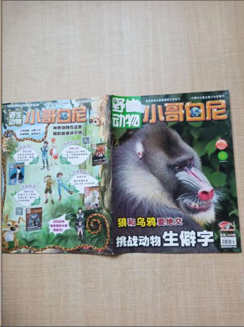 小哥白尼