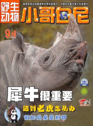 小哥白尼杂志订阅